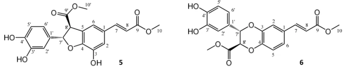 Figure  4.  Structures  of  oxidized  products  isolated  from  the  reaction  of  methyl  caffeate  (cm)  with  AAPH. For both compounds 5 and 6, only one enantiomer is shown for clarity. 