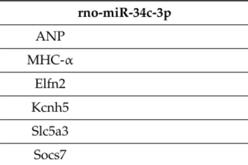 Table 2. Cont. rno-miR-34c-3p ANP MHC-α Elfn2 Kcnh5 Slc5a3 Socs7