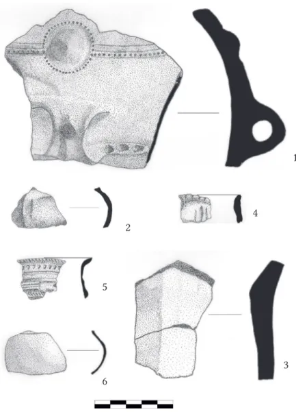 11. kép. Válogatás Szarvas-Arborétum-Rózsakert bronzkori kerámialeleteiből. 1 –2 – 6. objektum, 3–5  – 8
