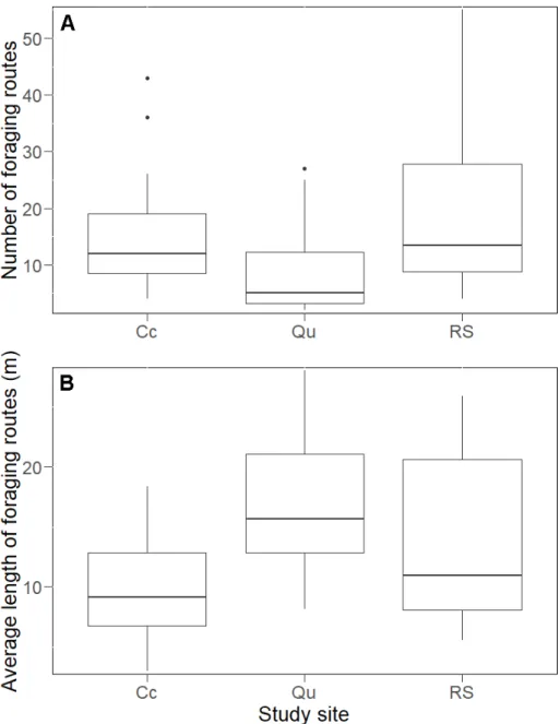 Figure 4. The number (A) and average length (B) of the foraging routes (medians, quartiles, range,  and outliers) found in the study sites of the Mátra Mountains