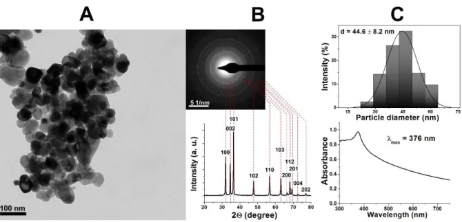 Fig  1  Chemical  characterization  of  zinc  oxide  nanoparticles.  Transmission  electron  microscopic (TEM) image (A), with the corresponding (B) electron diffraction (ED) pattern (top)  and  X-ray  diffractogram  (XRD)  (bottom)  of  the  synthesized  