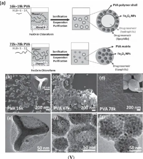 Figure  1.  Magnetic  nanoclusters  prepared  by  emulsion  procedures.  (I)  Preparation  of  clusters  of  magnetic  nanoparticles:  schematic  of  the  oil‐in‐water  miniemulsion  procedure  using  hexane  (or  toluene)‐based ferrofluid (Reprinted with 