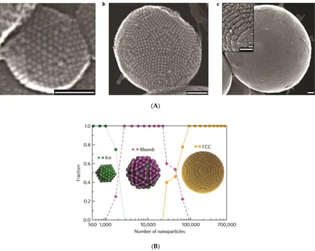 Figure  2.  Entropy‐driven  supraparticle  assembly.  (A)  Secondary  electron  scanning  transmission  electron microscopy (SE‐STEM) images of typical supraparticles containing oleic acid coated cobalt–