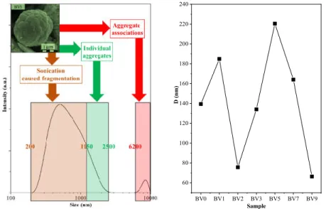 Figure 9. The size distribution of sample BV5, measured by DLS, showing a bimodal size distribution