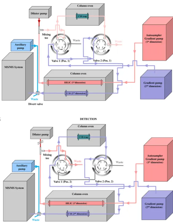 Fig. 1. Flow scheme of the established 2D-LC/MS system in both valve positions: Position 1 (A) and Position 2 (B).