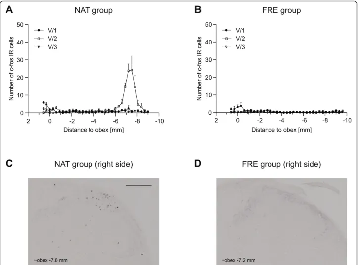 Fig. 2 Diagrams show the mean number of c-Fos IR neurons in the dorsal horns in NAT a and FRE b groups