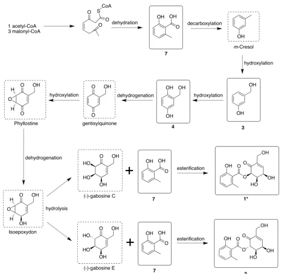Figure 6. Antiplatelet aggregation activity of compounds 1 and 2. Aspirin was used as the positive control