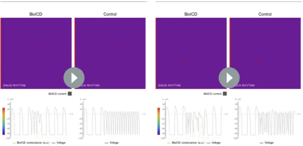 Figure 3 continued