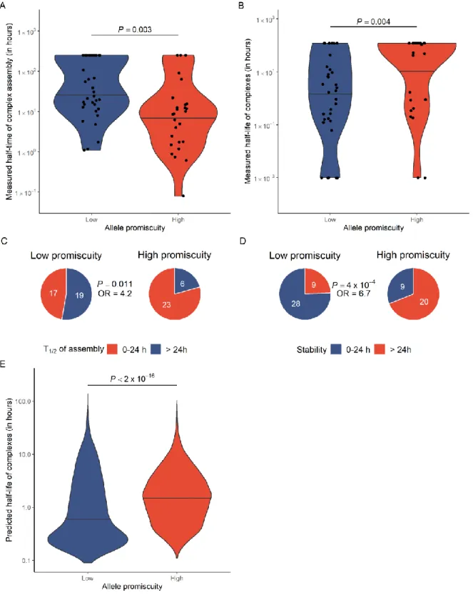 Figure 2. High allele promiscuity is associated with more stable peptide-HLA complexes