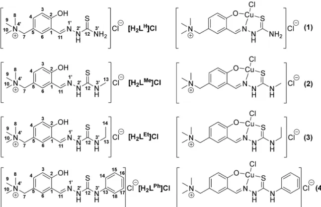 Figure 2. The line drawings of salicylaldehyde thiosemicarbazone (STSC) analogues [H 2 L R ]Cl and their copper(II) complexes 1–4