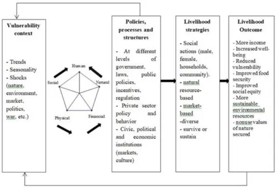 Figure 1. Sustainable livelihood framework 
