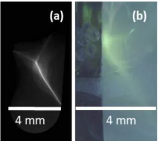 FIG. 3. (a) Proton focus on an image plate outside the vacuum chamber. (b) Proton focus on the scintillator screen together with embryos.