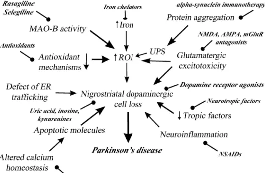 Fig. 1    Patomechanism and  potential neuroprotective targets  in Parkinson’s disease (AMPA   α-amino-3-hydroxy-5-methyl-4-isoxazolepropionic acid  receptor, ER endoplasmatic  reticulum, MAO-B monoamine  oxidase B, mGluR metabotropic  glutamatergic recept