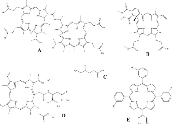 Figure  1.  Examples  of  clinically  relevant  photosensitizer  (PS)  compounds.  A:  Photofrin ® (hematoporphyrin or dihematoporphyrin ether); B: Visudyne ®  (verteporfin); C: 5-aminolevulinic acid  (ALA); D: talaporfin sodium (LS11); and E: Foscan ®  (t