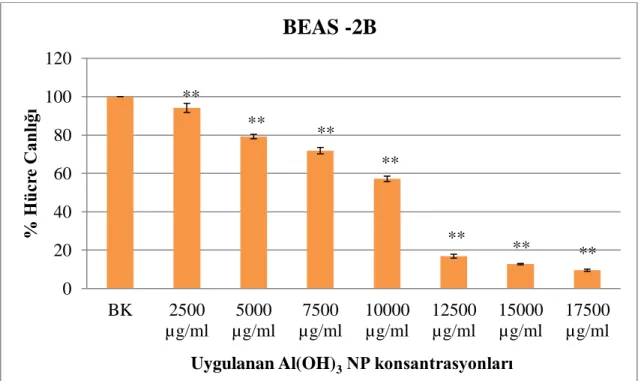 Şekil  4.2.  BEAS-2B  hücre  hattında  Al(OH) 3   nanopartikülü  ile  24  saat  süre  ile  muamelesi  sonucunda  elde  edilen  yüzde  canlılık  değerleri