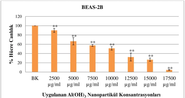 Şekil  4.8.  A549  hücre  hattında  Al(OH) 3  nanopartikülü  ile  24  saat  süre  muamelesi  sonucunda elde edilen yüzde canlılık değerleri BK büyüme kontrol (**; p<0,001 BK ile  karşılaştırılmıştır.) 