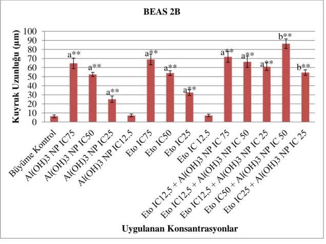 Şekil  4.12.  BEAS-2B  hücre  hattında  Al(OH) 3   nanopartikül  ve  Etoposid’in  kombin  dozları ile 24 saat süre ile muamelesi sonucunda elde edilen kuyruk uzunluğu değerleri 