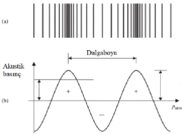 Şekil 2.1. Ses dalgalarının gösterimi a) ses dalgalarının havada oluşturduğu sıkışma ve  genişleme,  b)  atmosfer  basıncının  altında  ve  üstündeki  basınç  değişiminin  gösterimi  (Christopher L