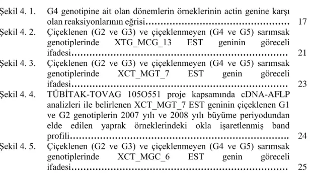 Şekil 4. 1.  G4 genotipine ait olan dönemlerin örneklerinin actin genine karşı  olan reaksiyonlarının eğrisi…………………………………………  17  Şekil 4