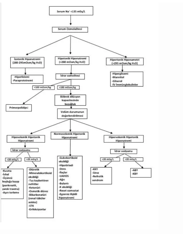 Şekil 1. Hiponatremi nedenleri (Yıldız, Kayataş, & Candan, 2011).
