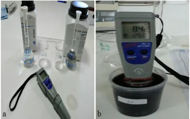 Şekil 3.4.  a) Tampon çözeltiler (0.1 N sitrik asit ve 0.1 N sodyum hidroksit) ve pH metre  b) Solüsyonların pH metre ile ölçümü 