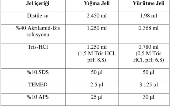 Çizelge 3.1. %10 jel hazırlama bileşikleri 