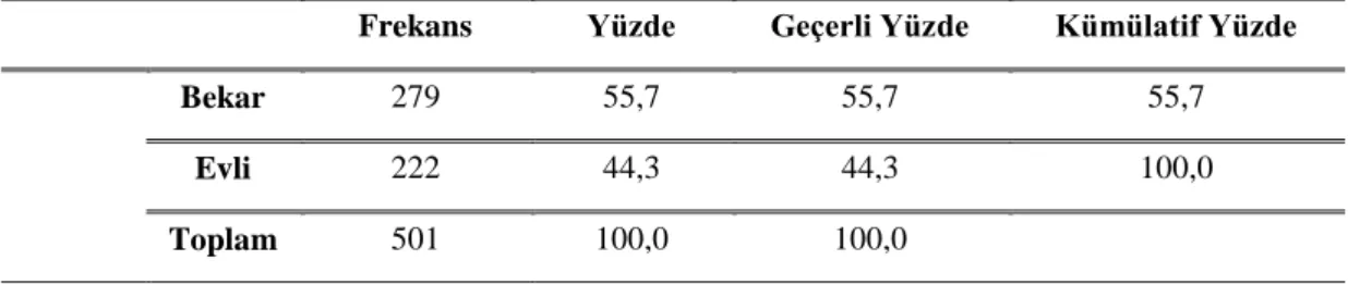Tablo 6: Yaşa Göre Dağılım 