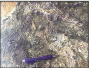 Figure 7. Appearances of purple fluorites in the Kuluncak district  METHOD 