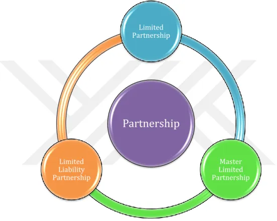 Figure 4: Three divisions of Partnership (Zimmerer &amp; Scarborough, 2002)  