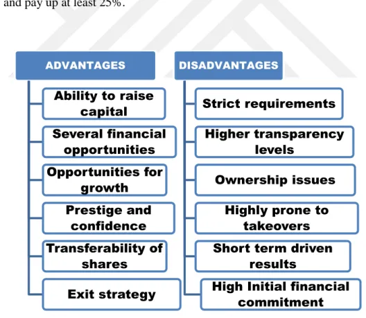 Figure  7:  Advantages  and  disadvantages  of  public  companies  (Zimmerer  & 