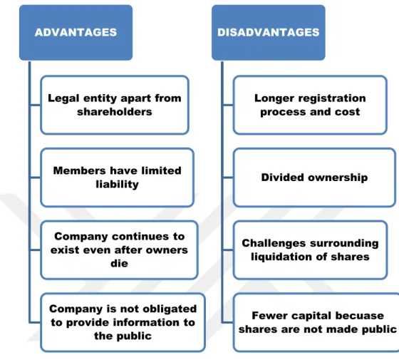 Figure  8:  Advantages  and  disadvantages  of  Private  Companies  (Zimmerer  &amp; 