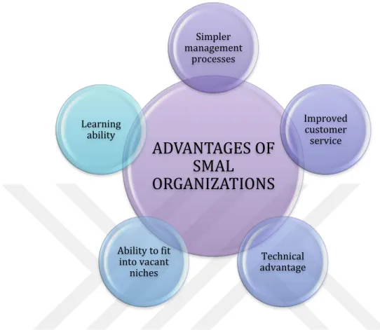 Figure 14: Advantages of Small Organizations. (Andreassi, 2003). 