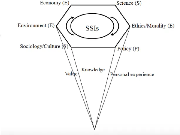 Figure 2.5 Representation of the relationships between the three aspects and six subjects  areas of SEE-SEP model [33] 