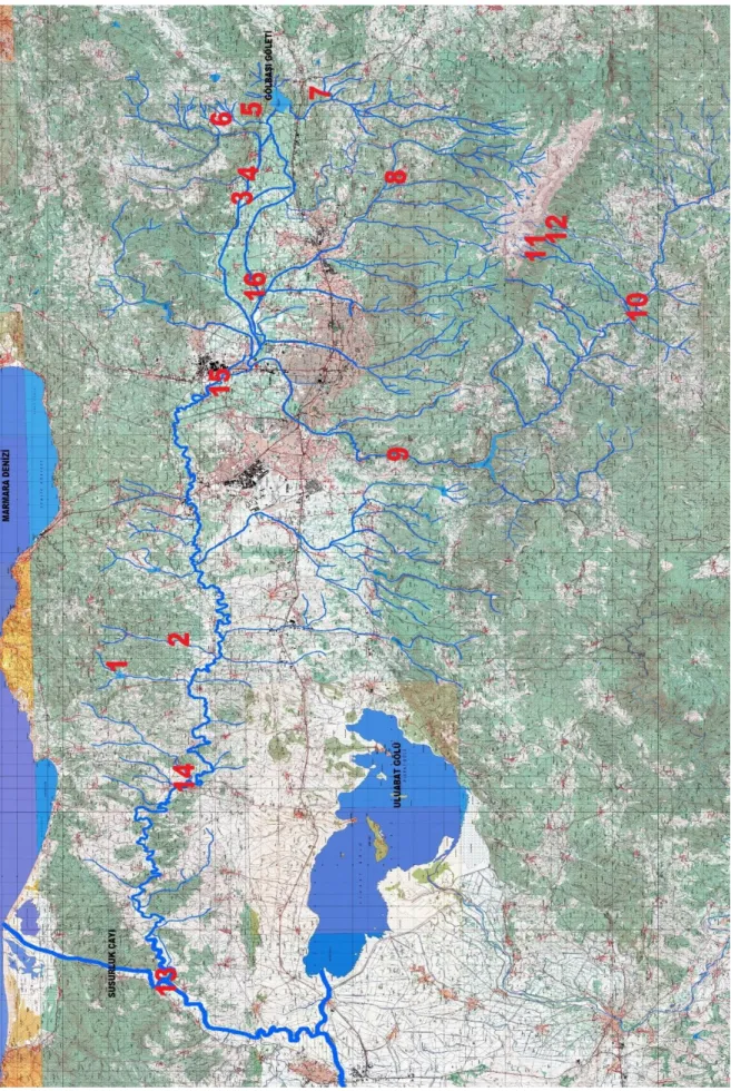 Şekil 3.1 Nilüfer Çayı’nın genel görünümü 