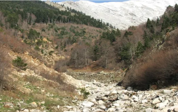 Şekil 3.13 Arasdere 
