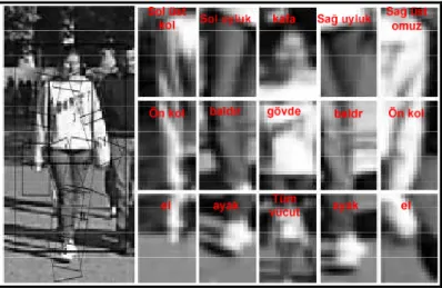 Şekil 1-10: Elle işaretleme yapılan eğitim imgesi 