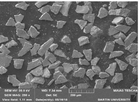 Şekil 8.2: Öğütülmüş Tufal tozlarının SEM görüntüsü 67-91 µm 1000x. 