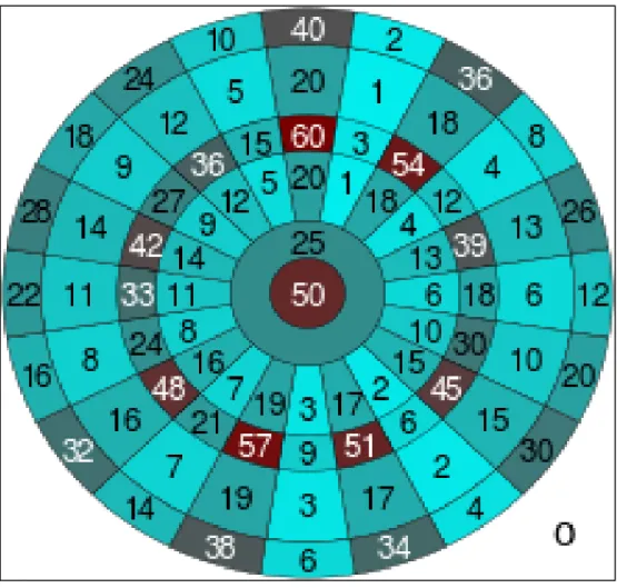 Şekil 2.3: Dart Puanlama Tablosu  2.4.3.3. Dart Oku 