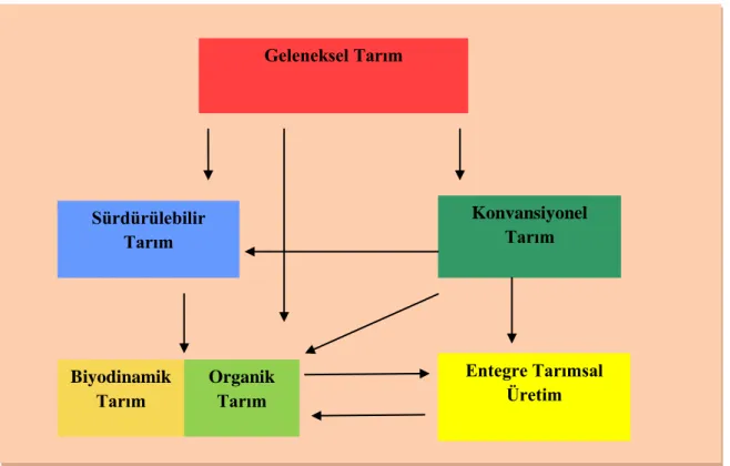Şekil 2: Tarımsal uygulama yöntemleri (Kırımhan, 2005: 45). 