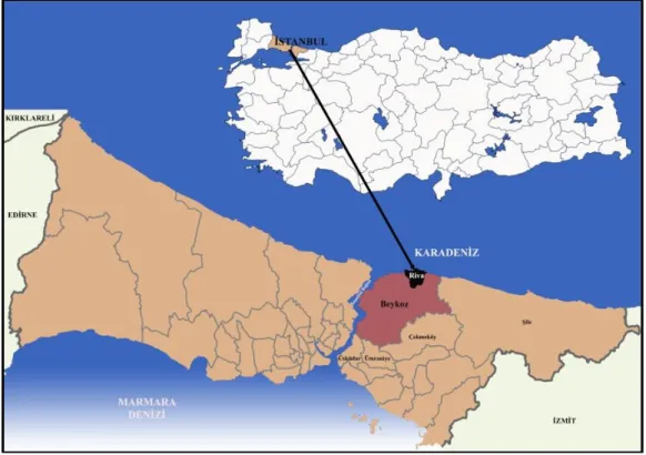 Şekil 4.1: İstanbul İli içerisinde Beykoz ve Riva’nın konumu. 