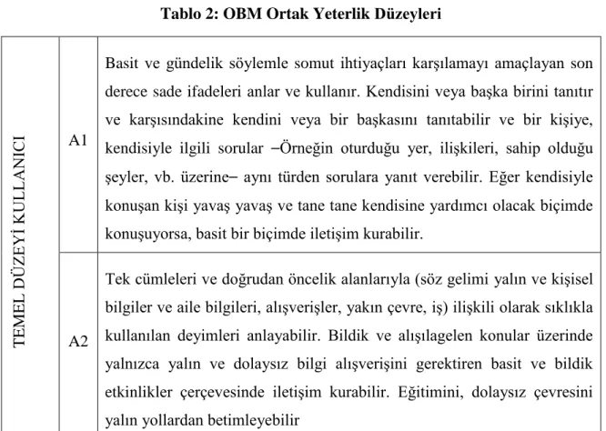 Tablo 2: OBM Ortak Yeterlik Düzeyleri 