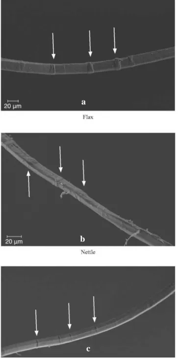 Şekil 10:  a)  Keten,  b)  Isırgan  ve  c)  Kenevir  liflerinin  lif  hücrelerinin  yüzey  görüntüleri  (Bergfijord ve Holst, 2010)