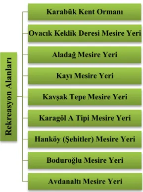 Şekil 10: Karabük orman işletme müdürlüğündeki orman emvali depoları. 