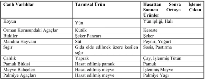 Tablo 2: TMS 41 Tarımsal Faaliyetler Standardının Kapsamı 