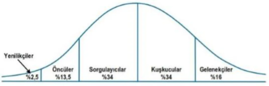Şekil 1.2. Yenilikçilik Kategorileri  