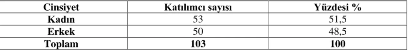 Tablo 13: Katılımcıların Cinsiyete Göre Dağılımları 