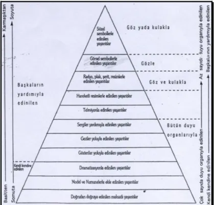 Şekil 2. Dale’nin Yaşantı Konisi Çilenti (1981). 