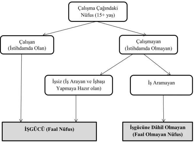 Şekil 3: İşgücü Çatısı (TÜİK, 2007). 