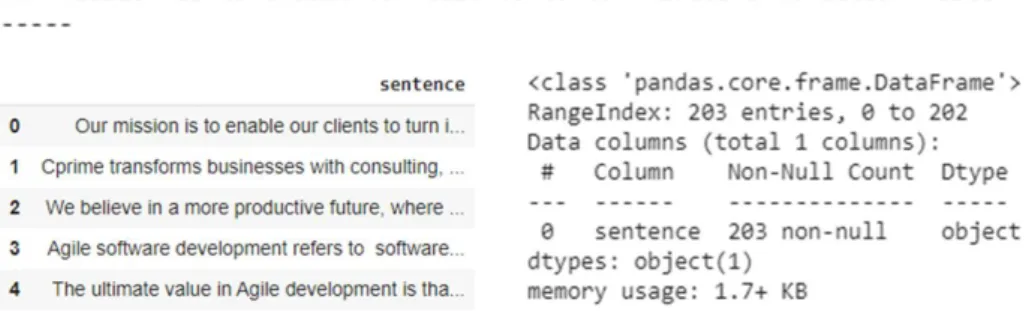 Figure 11: A sample of the tokenized sentences and df 