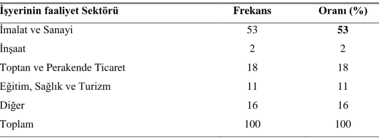 Tablo 3.3. İşyerlerinin Faaliyet Konusu   